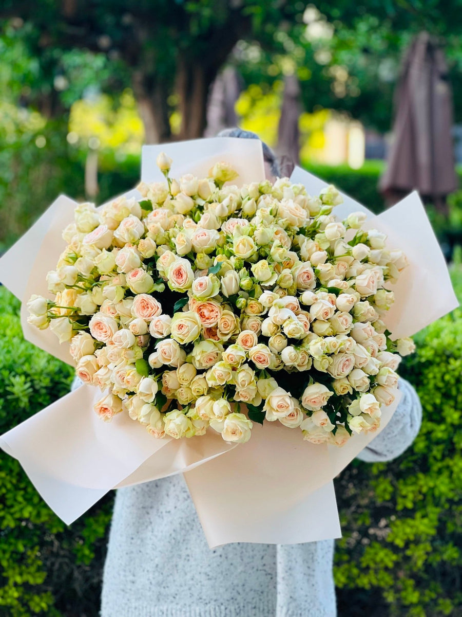 Кустовые розы Sweet apricot