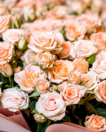 Spray roses Sweet Sara’s beauty - DJ flowers