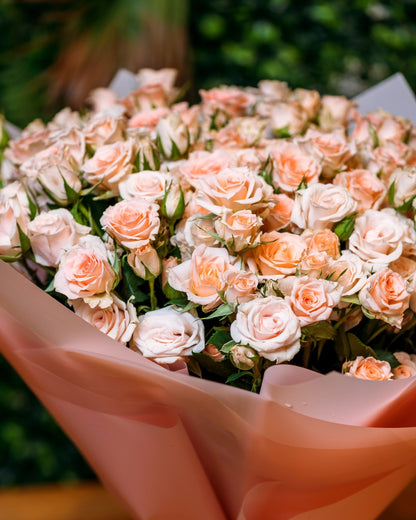 Spray roses Sweet Sara’s beauty - DJ flowers