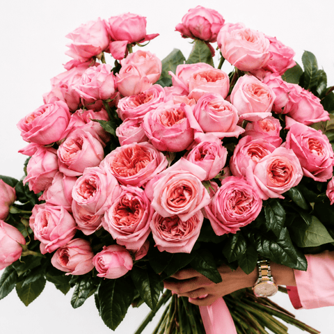 Spritz Hour — Garden rose bouquet - DJ flowers