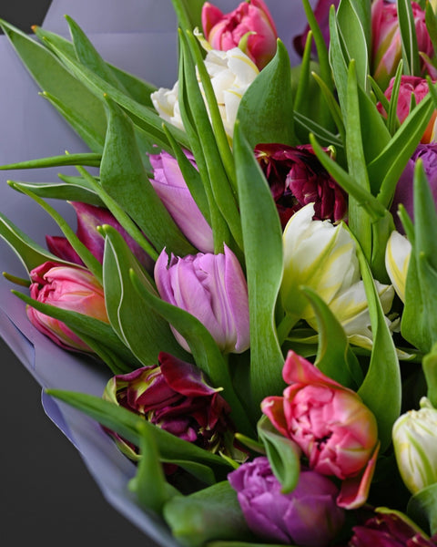 Tulip Treasures - DJ flowers
