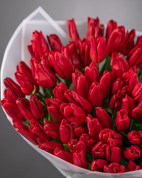 Tulips bouquet Crimson Elegance - DJ flowers