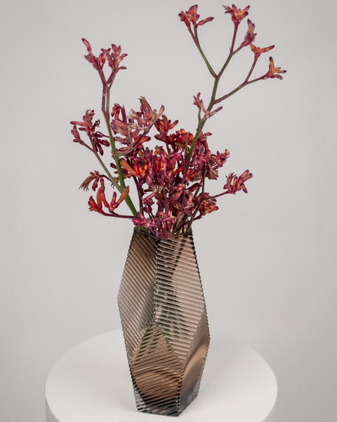 Vase arrangement Kangaroo Paws - DJ flowers