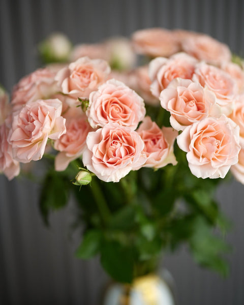 Vase arrangement Ladies Day - DJ flowers