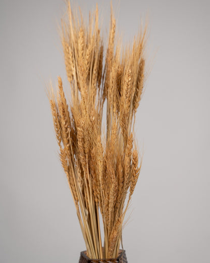 Vase arrangement of dry wheat Golden Harvest - DJ flowers