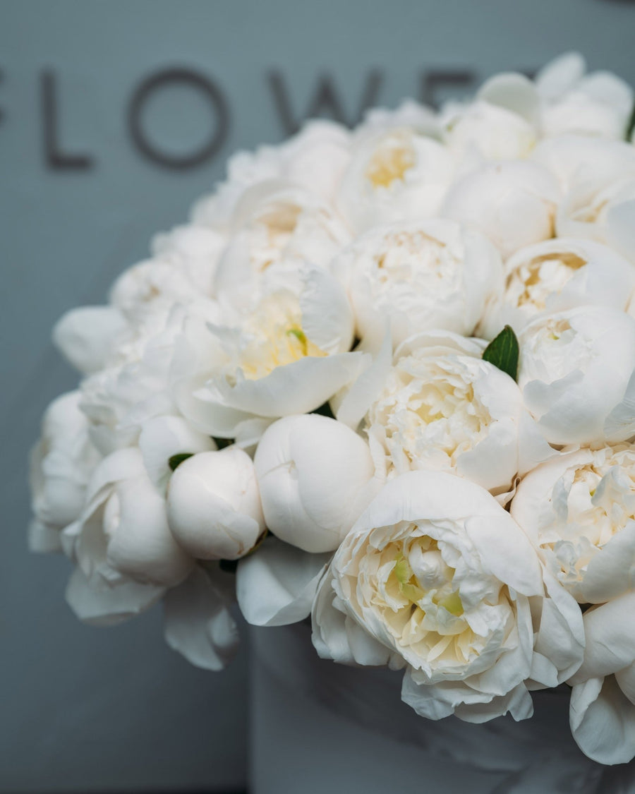 White Peony Blossom Box - DJ flowers