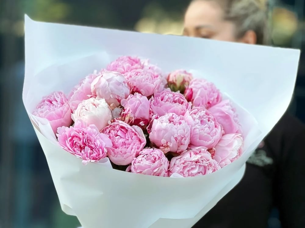 Light Pink Peony Flowers Meaning