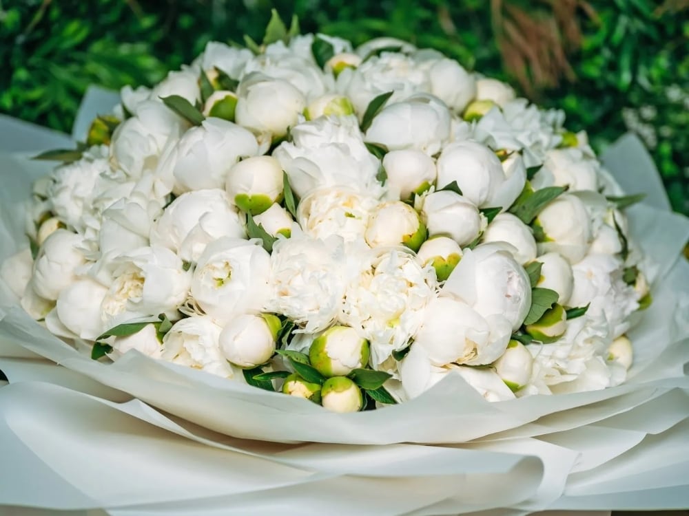 White Peony Flowers Meaning
